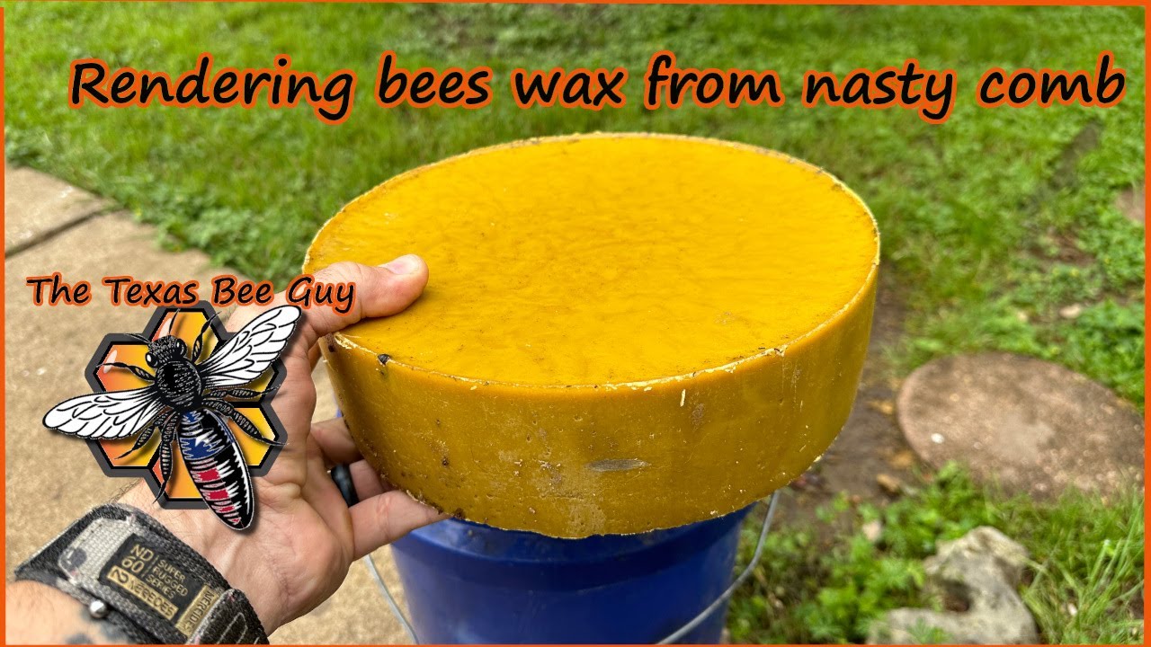 Rendering beeswax from old broodcomb