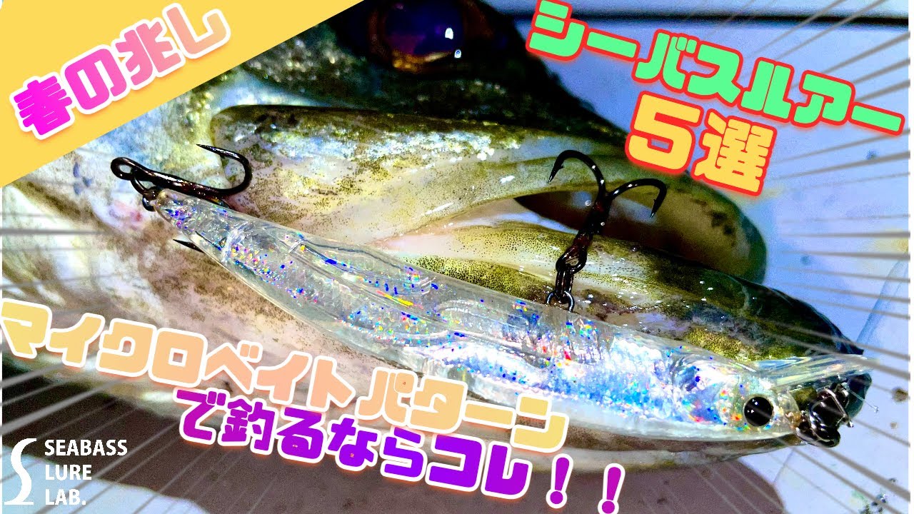 【水中映像】マイクロベイトパターンで使えるおすすめルアー5選！【シーバス】【春】