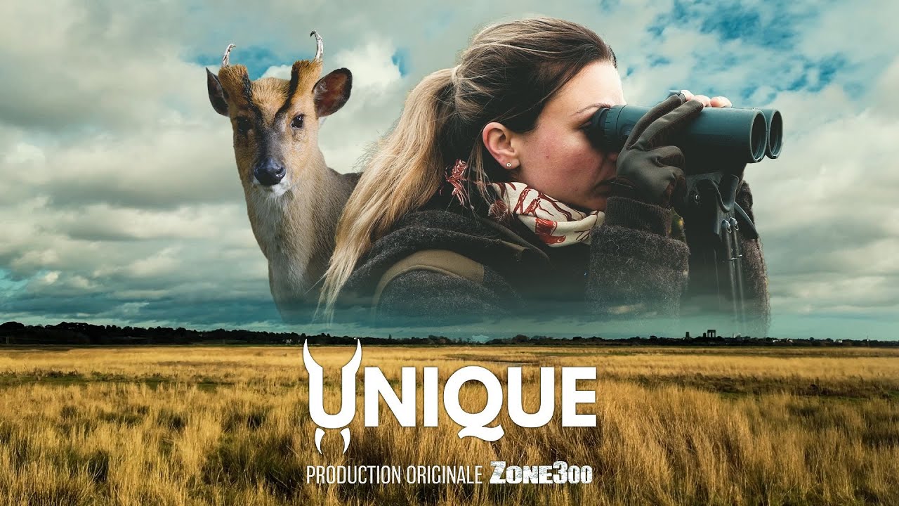 UNIQUE
