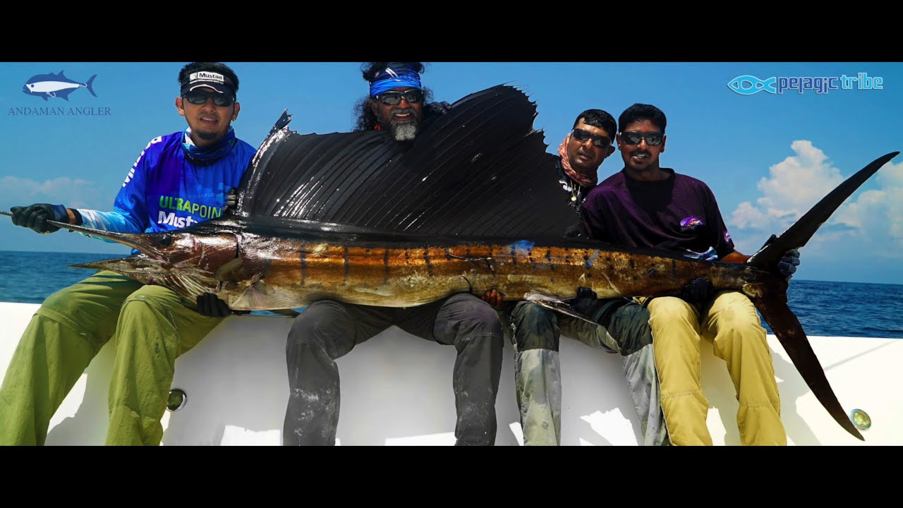 Fishing Andaman - Monster Sailfish