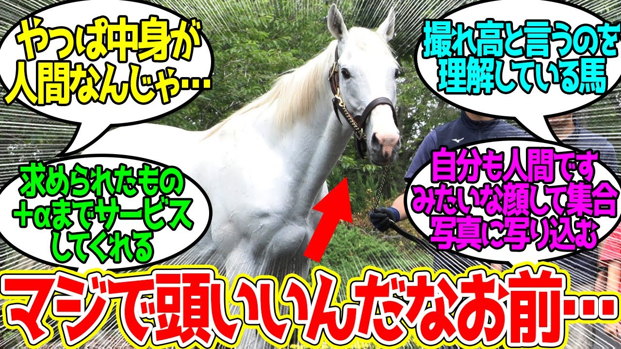 ゴールドシップとかいう何やっても話題になるやつ…に対するみんなの反応！【競馬 の反応集】