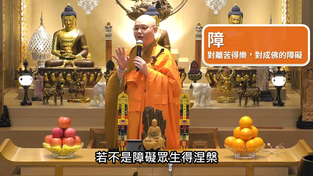 業障是一切障礙我們得到善法，令我們不得涅槃或菩提的障。師父引用例子和兩個故事 : 「狗狗的怨親債主」和「念佛與你的業是兩回事嗎？」來糾正我們對業障一詞的迷思：法忍法師開示【有字幕】
