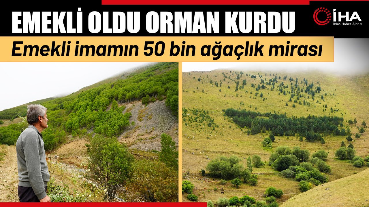Gümüşhane'de Emekli İmam Kendi İmkânlarıyla Köyüne 50 Bin Ağaç Dikti