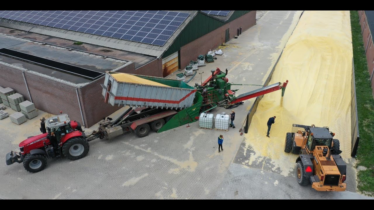 Threshing and grinding maize | John Deere 2256 | MF | Mais dorsen en malen | Van Helmond loonbedrijf