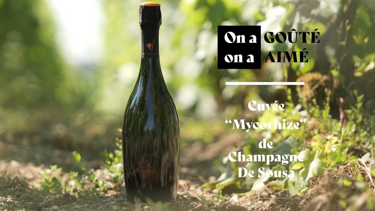 ON A GOÛTÉ, ON A AIMÉ : Champagne De Sousa, cuvée 