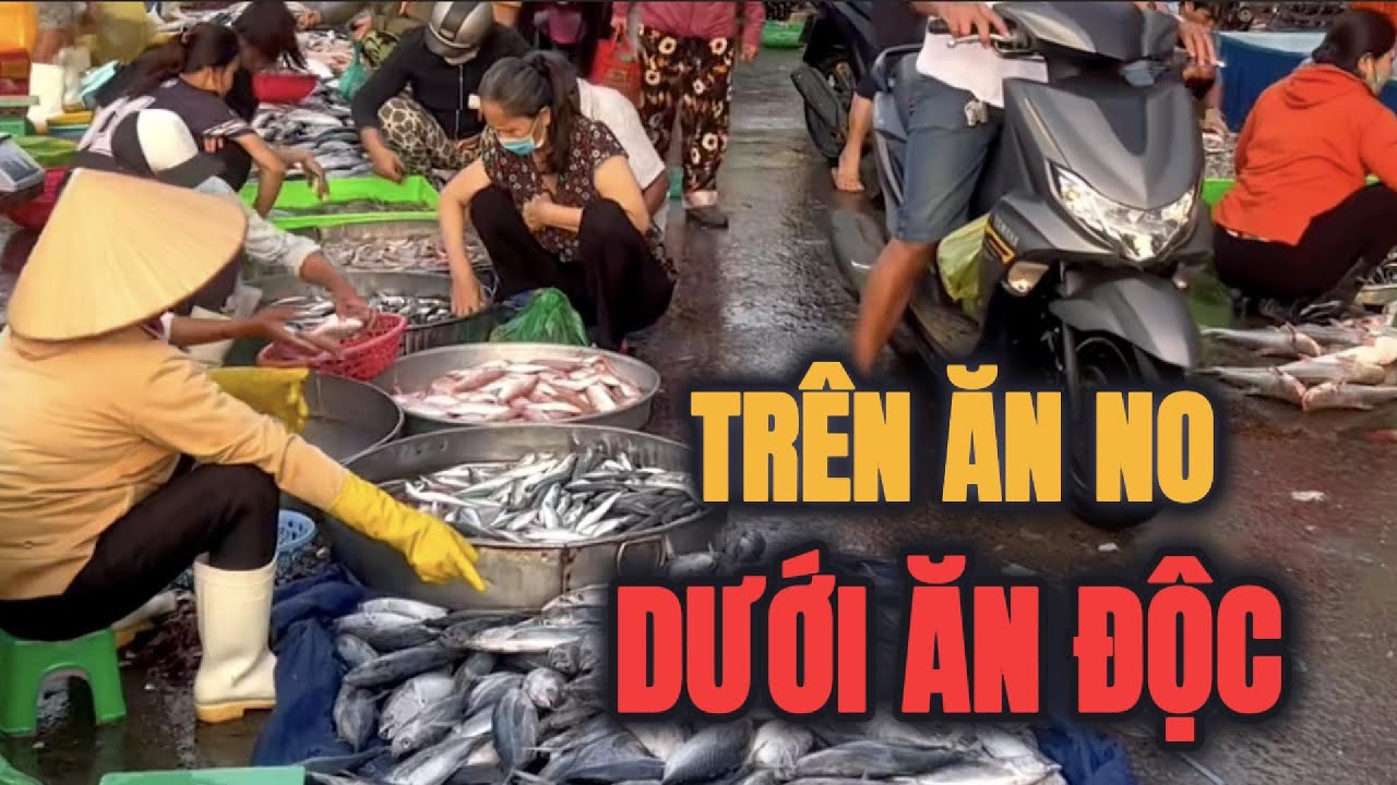 NGƯỜI VIỆT ĐANG TỰ THUỐC NHAU ?