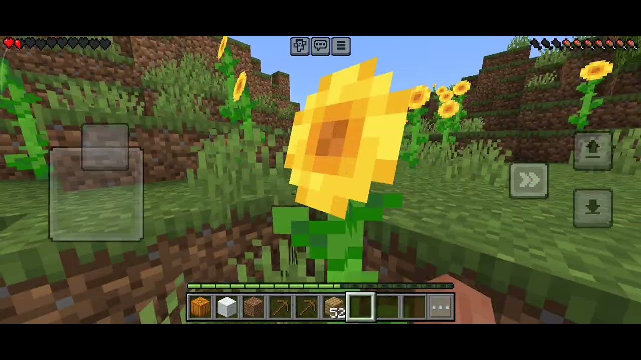 Jogando Minecraft 