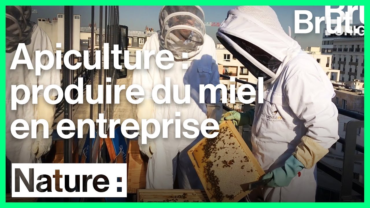 Des apiculteurs pour fabriquer du miel en entreprise