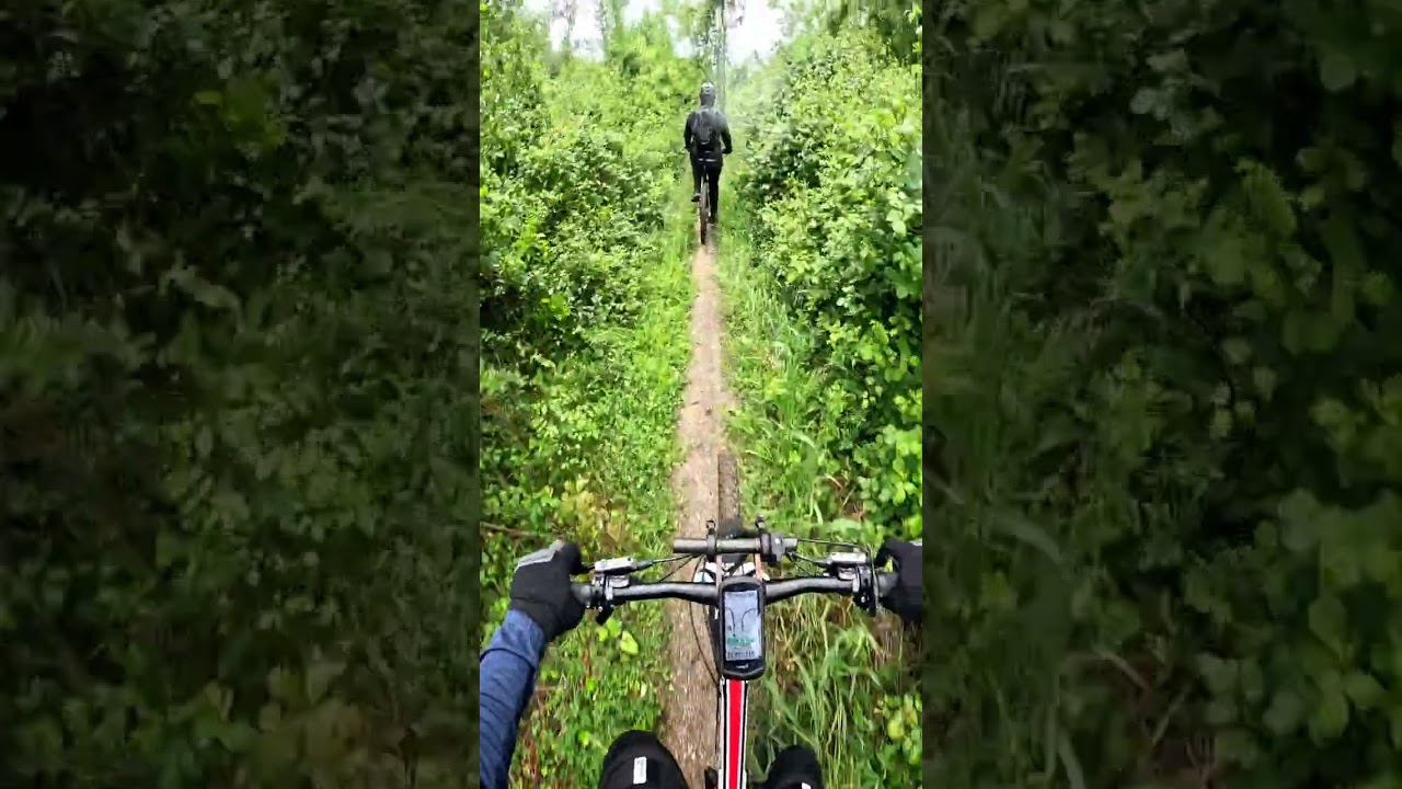 MTB Trail Team Flegreo Giro nei trail di Caserta 20/04/2024