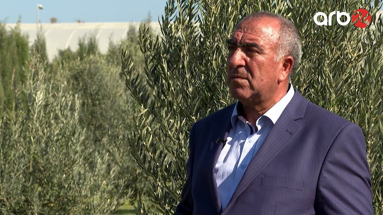 Zeytun istehsalı (Cəlal Məmmədov) - ARB 24 (Aqro biznes)
