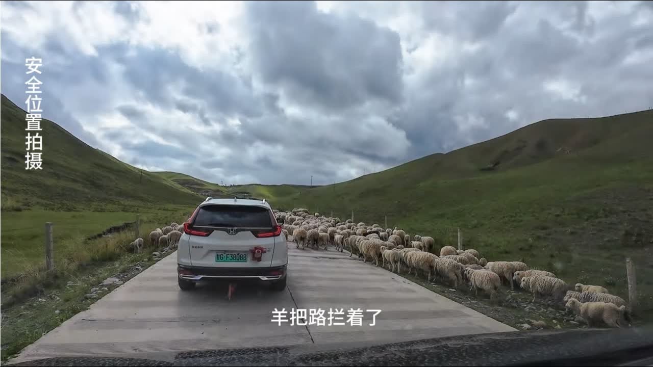 穿越原始森林的路艰难，遇到修路堵车，路边起锅烧油做饭。