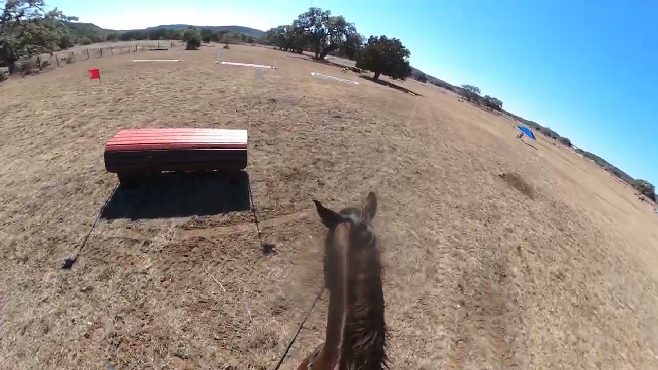 Flagmounts Scandal XC GoPro Crossgate 1/31/26