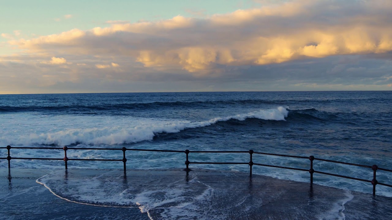 Ocean   19609