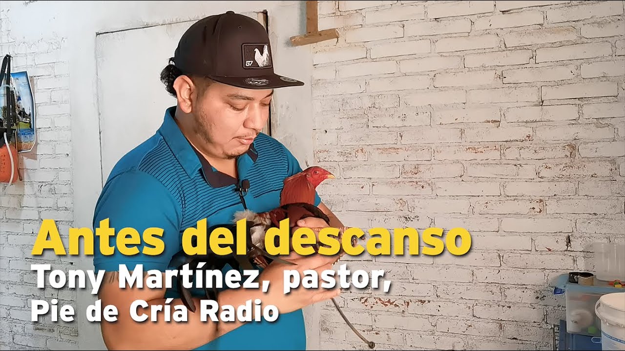 Antes del descanso, Tony Martínez, pastor, Pie de Cría Radio.