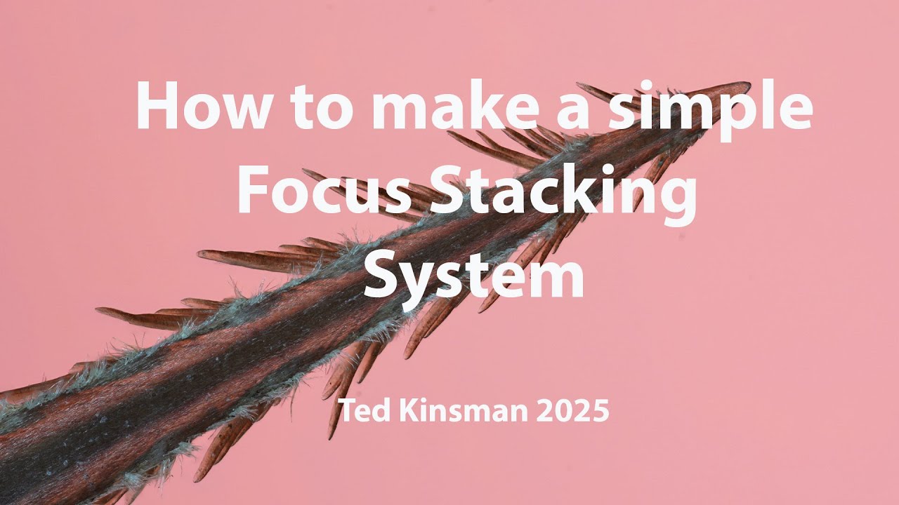 How to make a simple Focus Stacking System