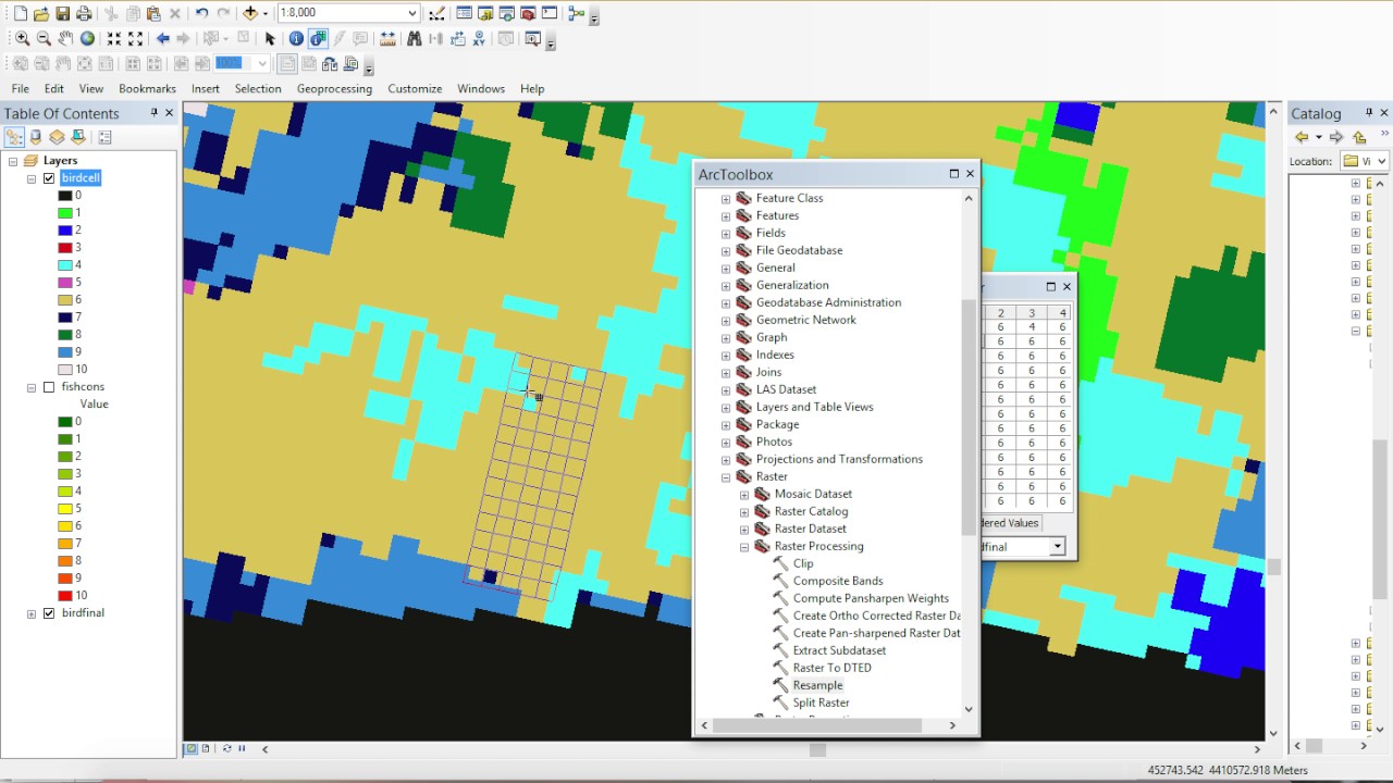 Resizing, Projecting and Sampling Rasters