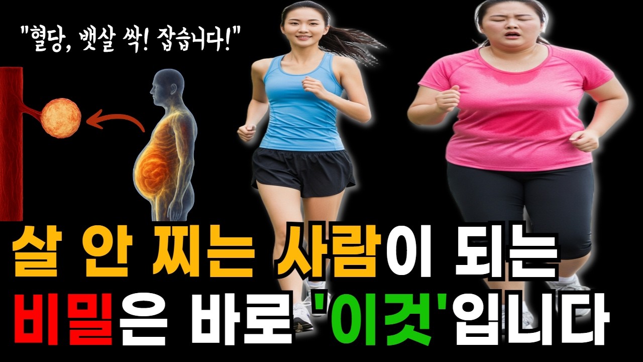 “이 25가지만 지키면, 평생 살 안 찝니다 – 9년 차 다이어트 코치의 최종 정리”