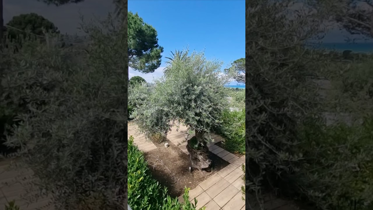 Hotel Costa Verde, Cefalu, Sicilia
