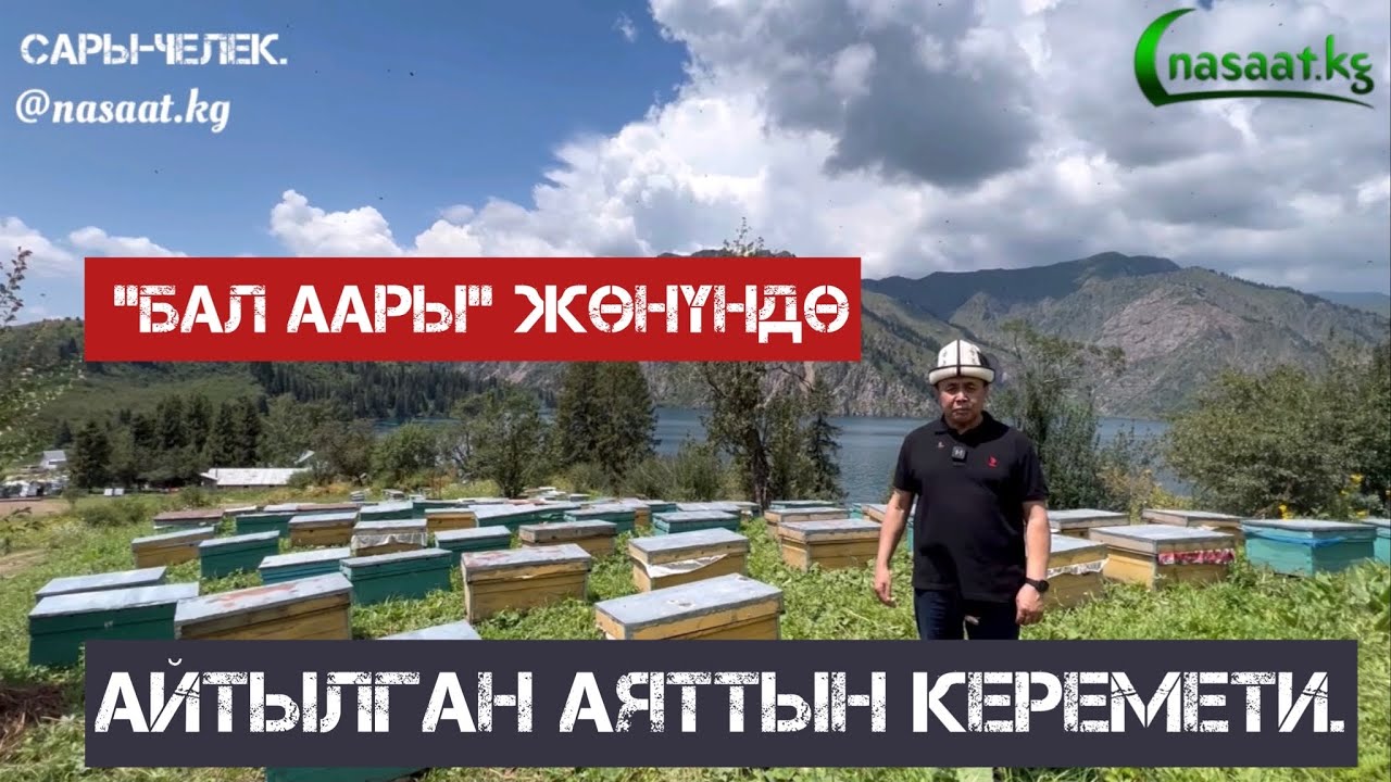 &laquo;БАЛ ААРЫ&raquo; ЖӨНҮНДӨ АЙТЫЛГАН АЯТТЫН КЕРЕМЕТИ. Устаз Абдишүкүр Нарматов.