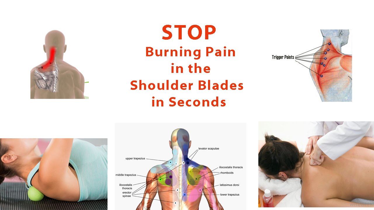 Stop Burning Pain in Shoulder Blades in Seconds (Simple Trigger Point Release Technique)  Dr Mandell