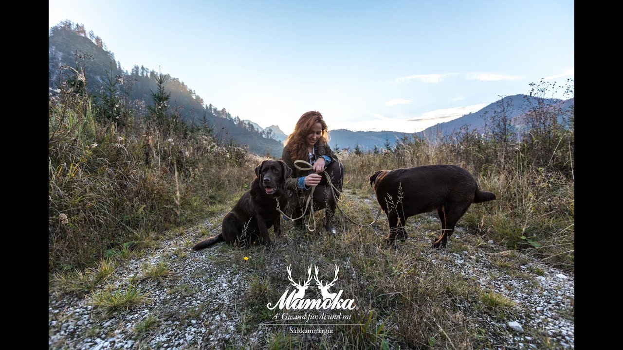 Mamoka Rock N&deg;1 & Hundeaccessoires in Gr&uuml;nau im Almtal