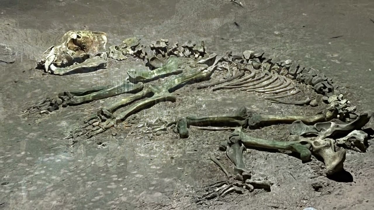 Pestera Ursilor   Chiscau, Muntii Apuseni