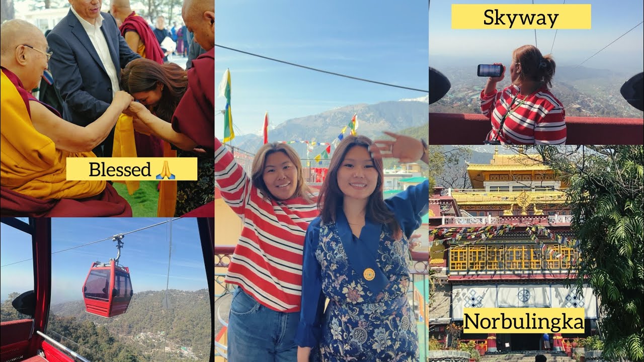 2 day Dharamshala || Blessing from His Holiness 🙏|| Norbulingka #blessed #tibetanvloger 