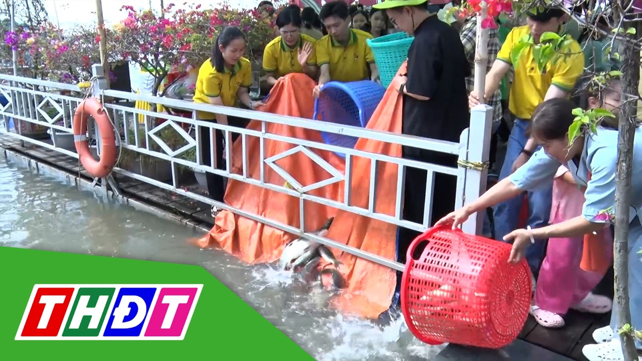 Thả phóng sanh 3,2 tấn cá tại Khu bảo tồn nguồn lợi thủy sản Đình An Bình, phường Hồng Ngự | THDT