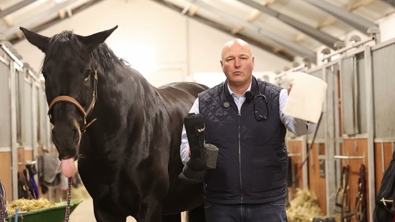 Erste Hilfe Pferd &ndash; Wunden erkennen und richtig versorgen mit Tierarzt-Anleitung