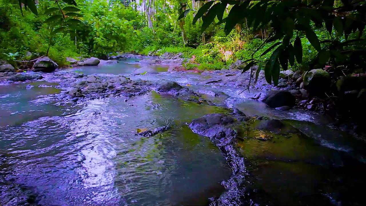Mountain River Relaxing Stream | Gentle Water Sounds for Calm Mind and Sleep