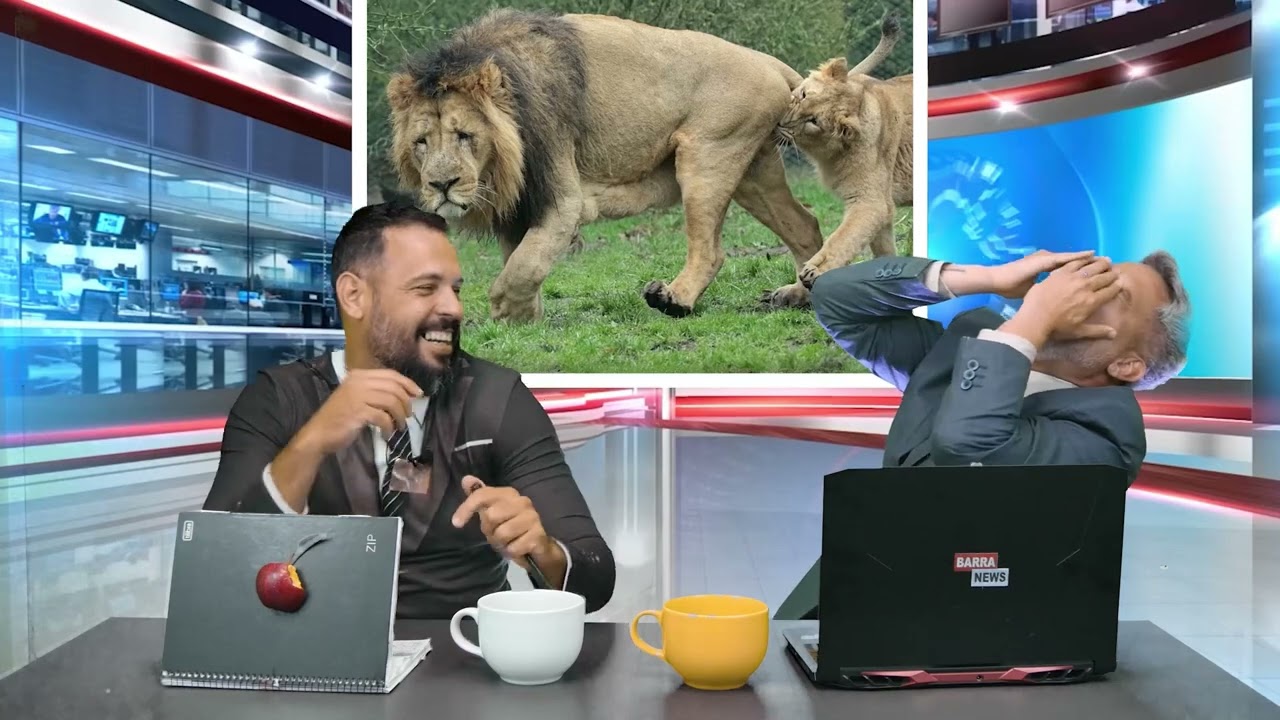 Exclusivo: Barra News mostra a nada f&aacute;cil vida de um rei&hellip;.👀🦁😂 #barranews