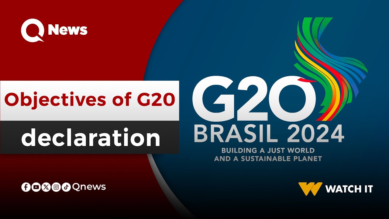 G20 lacks plan to achieve objectives of joint declaration: Vitelio Brustolin