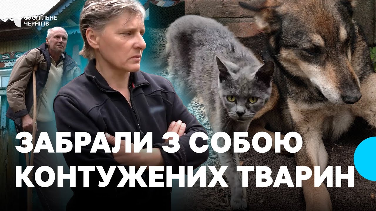 Вивезла 12 тварин із-під обстрілів родина з Грем’яча на Чернігівщині