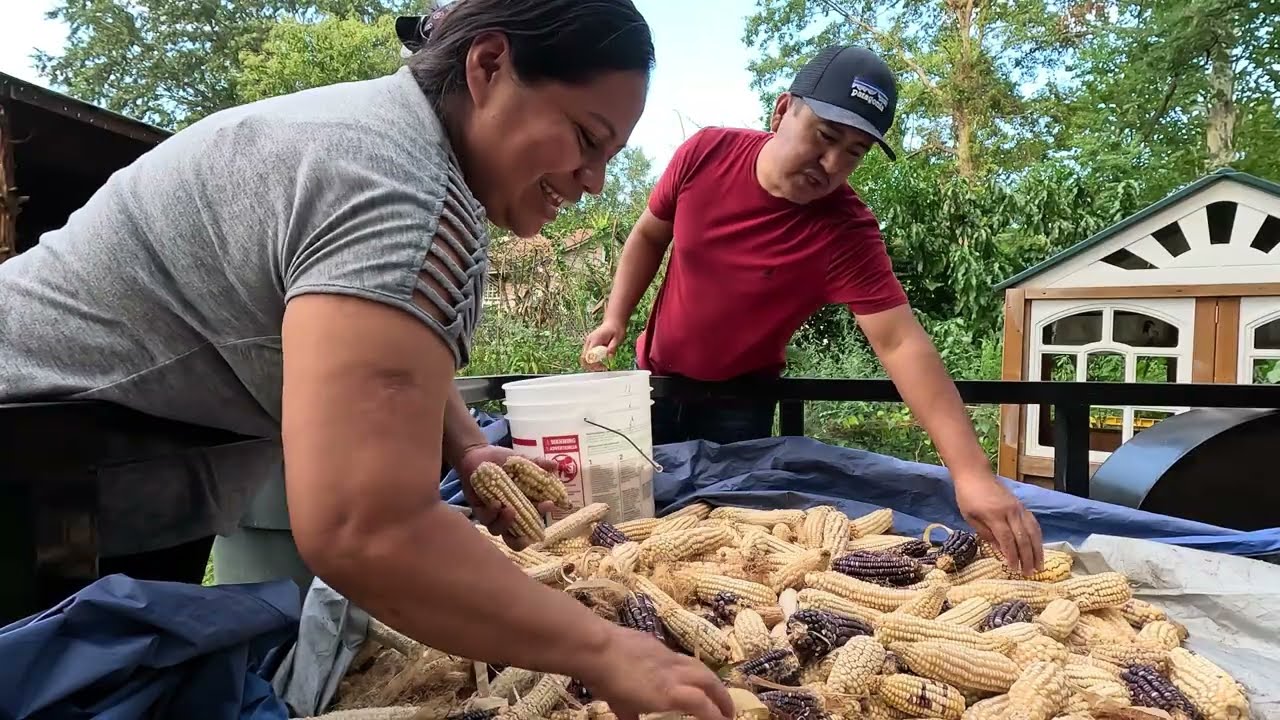 Les contamos un poco de cuando nos venimos a usa 🇺🇸 