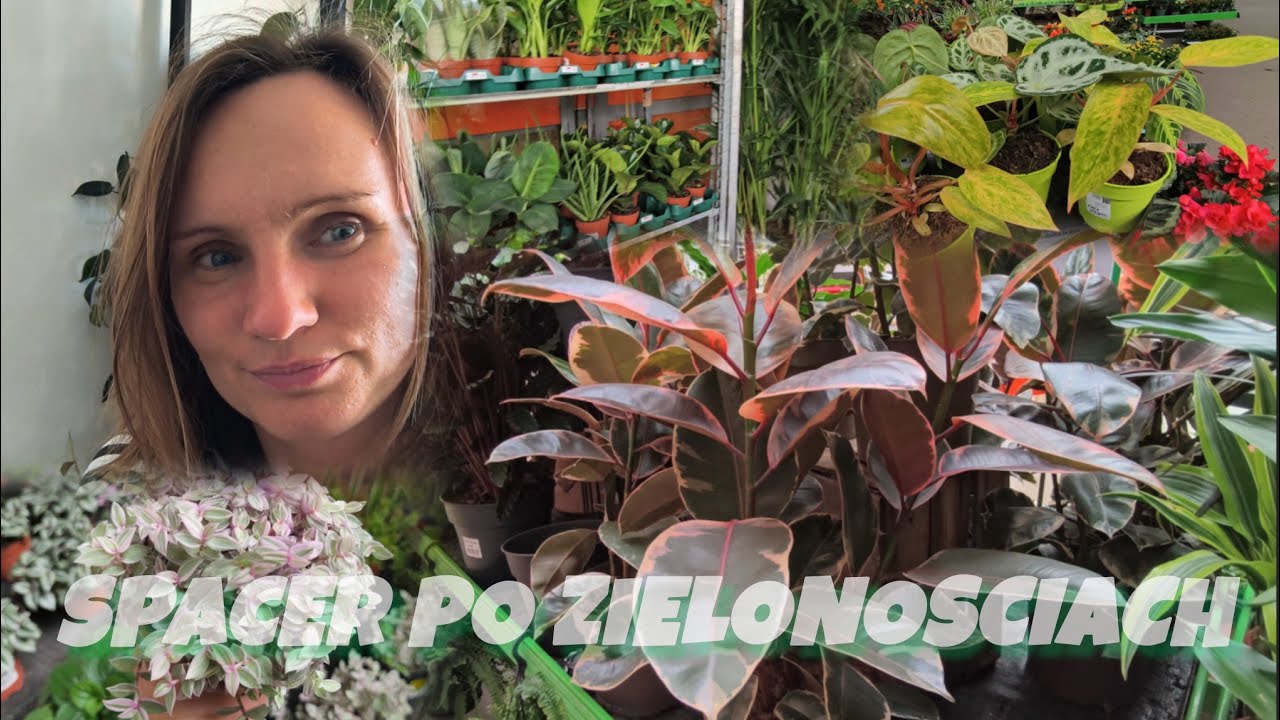 Spacer po zielonych🌿który najlepszy🙂🌿