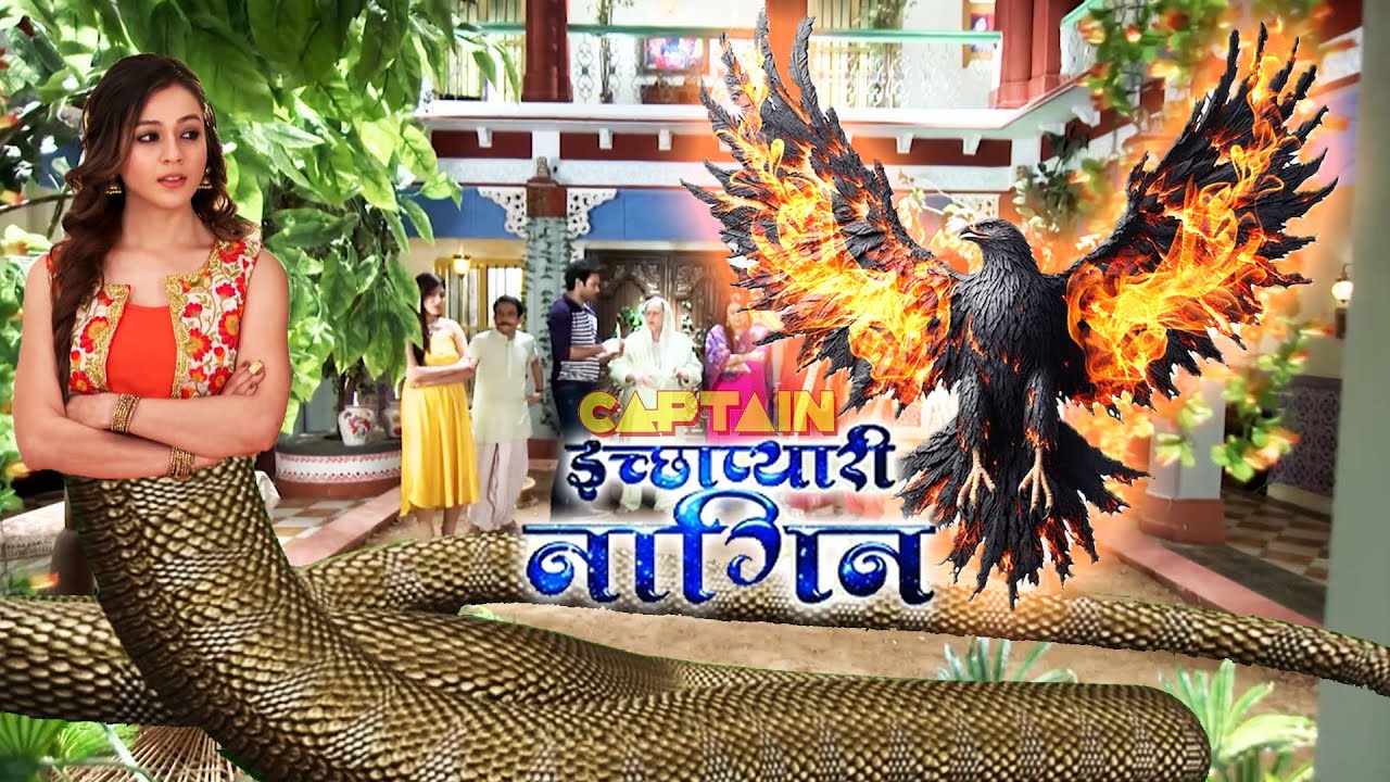 Ichha कैसे करेगी इच्छाधारी बाज़ से पहलवान परिवार की रक्षा ? महाएपिसोड - इच्छाप्यारी नागिन