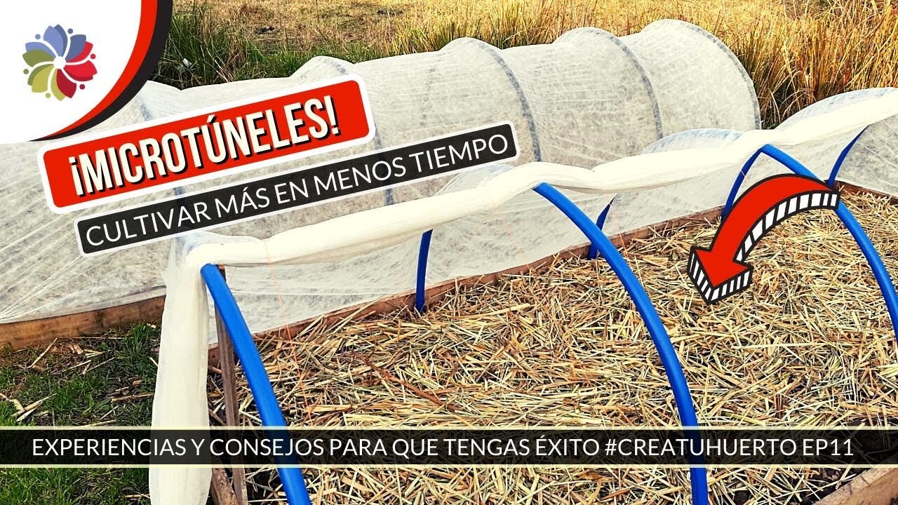 Todo crece MÁS GRANDE y RÁPIDO en un #Microtúnel - #CreaTuHuerto Ep11
