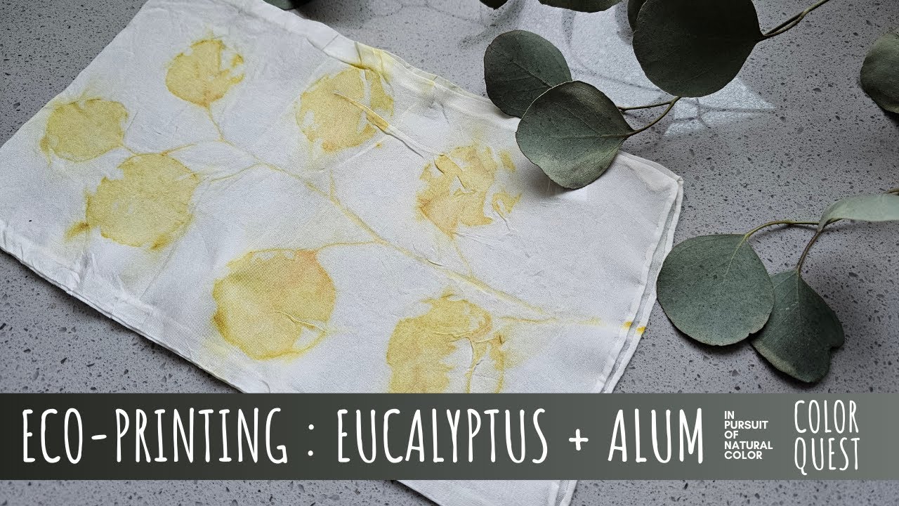 HOW TO ECO-PRINT WITH EUCALYPTUS & ALUM MORDANT | ORGANIC COLOR | SILK COTTON | BUNDLE DYE