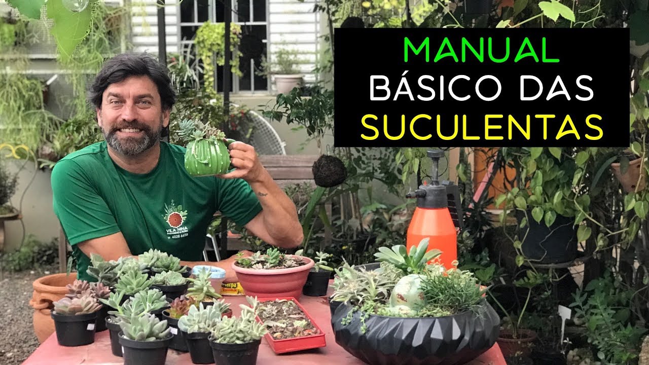 Manual Básico das Suculentas