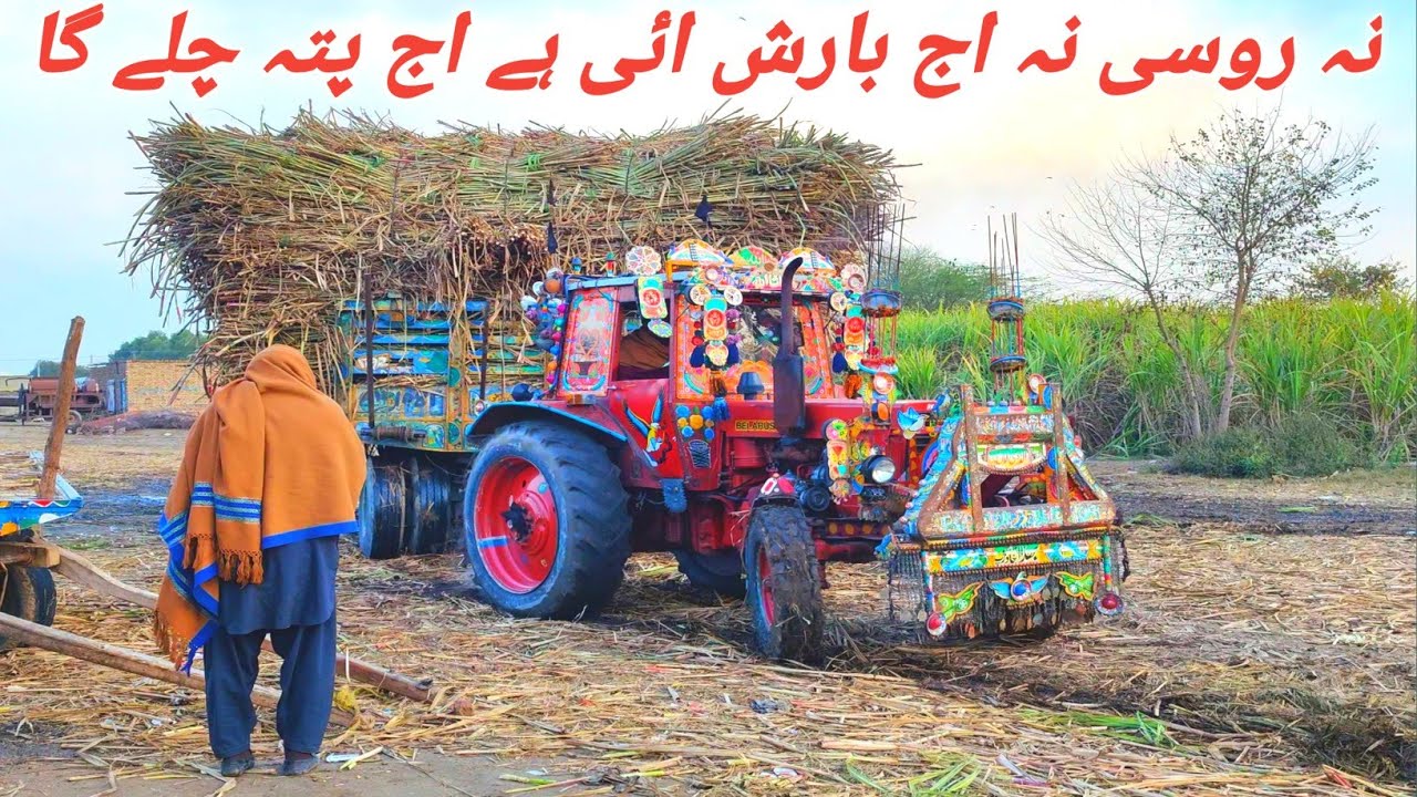 نہ روسی نہ اج پتہ چلے گا روسی کا اج بارش ائی ہوئی ہے اج وزن بھی 1600 من ہے 