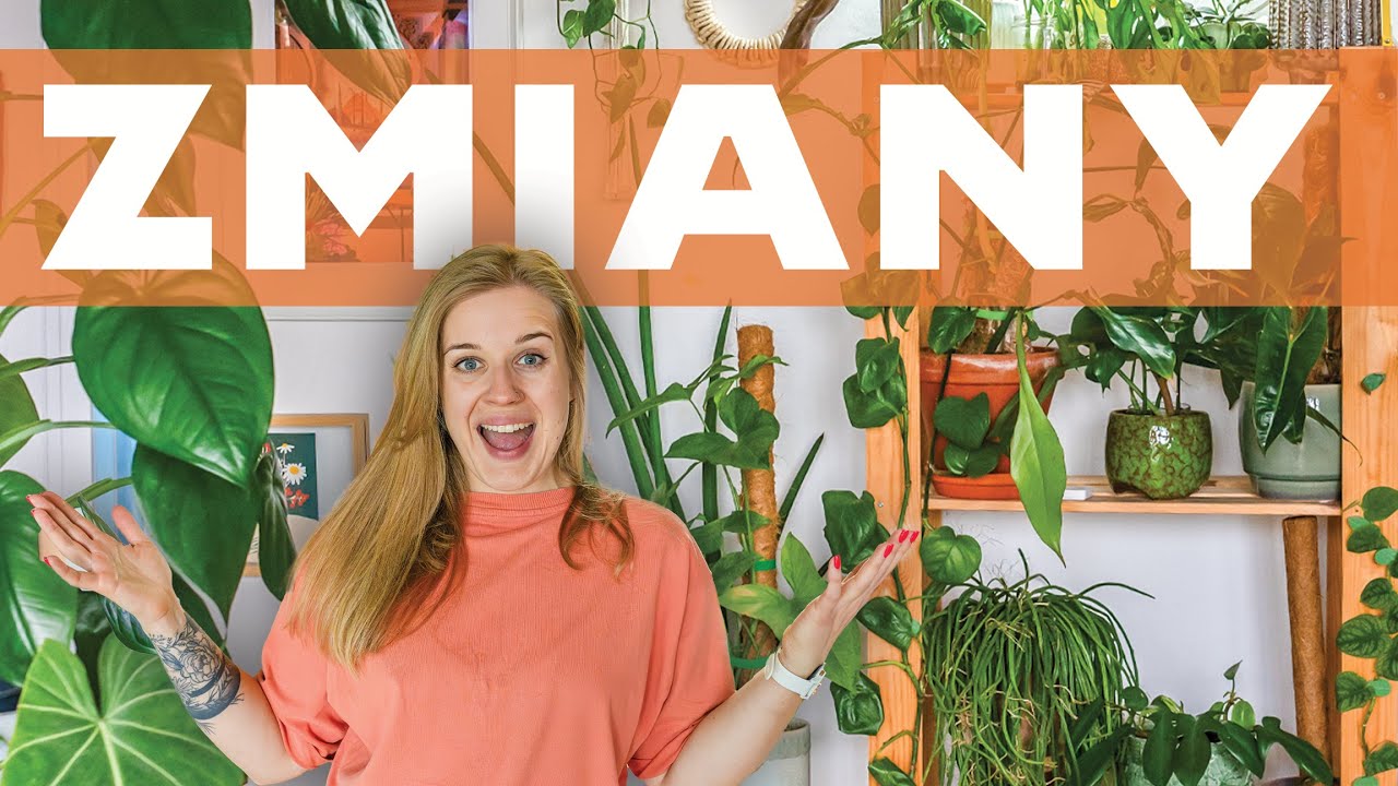Zmiana roślinnej ściany! Maluję, ustawiam i się jaram! Mini plant tour + puzzle ❤️
