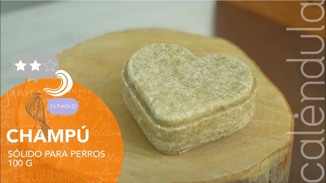 Si amas a tus 🐶 esto te encantará! Haz tu propio champú sólido para perros🐶❤️