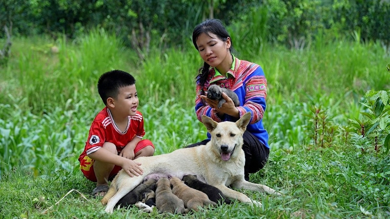 Heartwarming moment: Han smiles as the puppies are born.