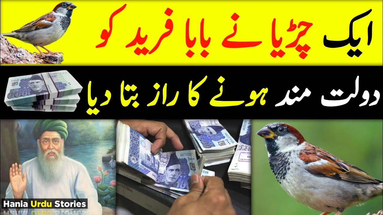 Chidiya Ne Baba Farid Ko | Dolat Rizq Aur Dolat Mand Hone Ka Raaz Bata Diya | Hania Urdu Stories