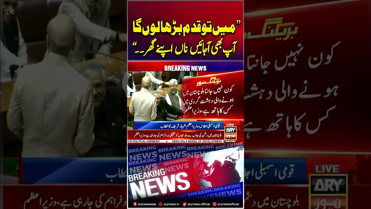 Main to qadam barha loon ga... #pmshehbazsharif #nationalassembly #shorts