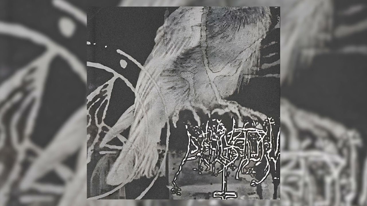 Dohlensturm &ndash; Another Album Full Of Hate, Depressions, War