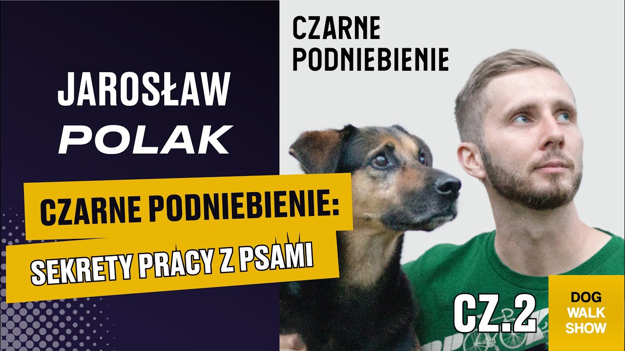 Czarne podniebienie - sekrety pracy z psami | Dog Walk Show #33