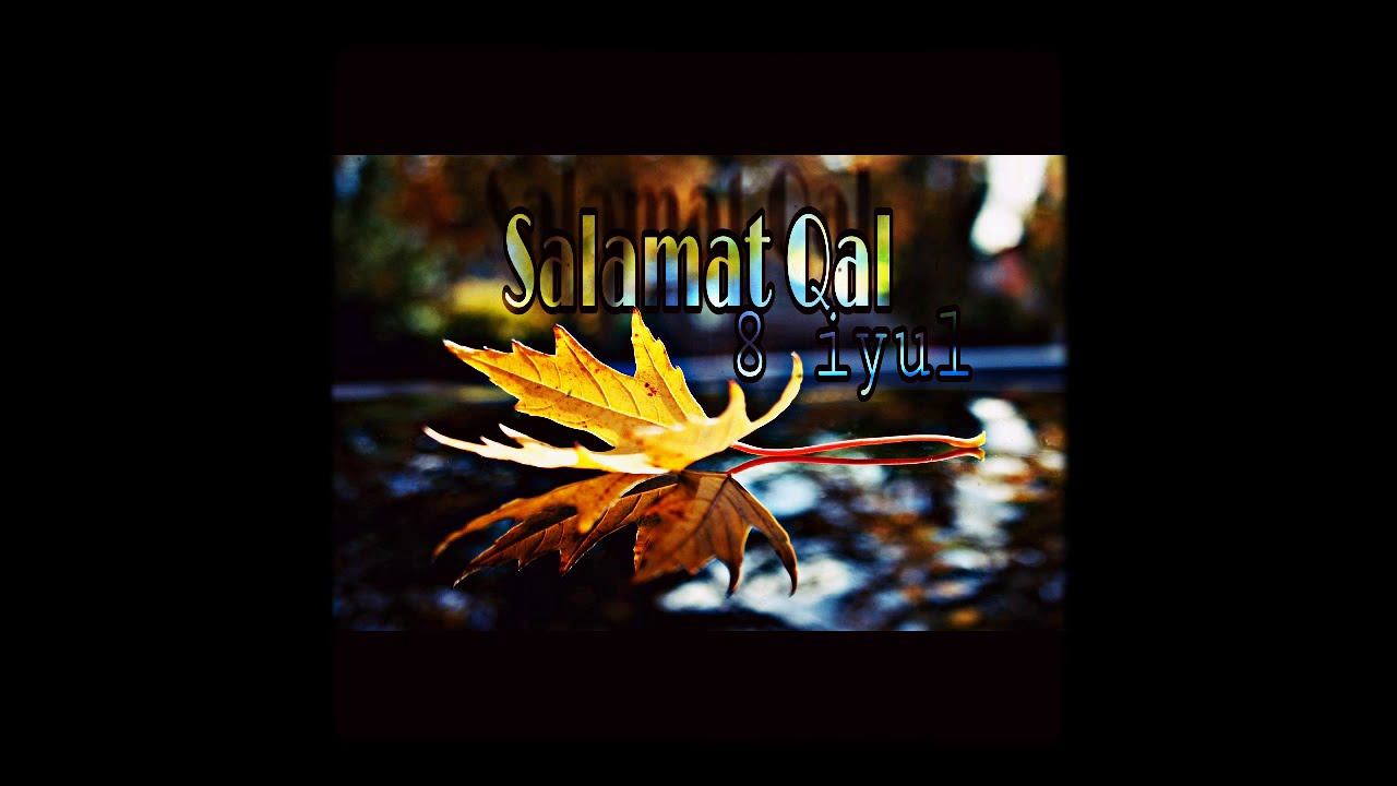 Niko - Salamat Qal, 8 iyul (ithaf) (Chorus. Karo)