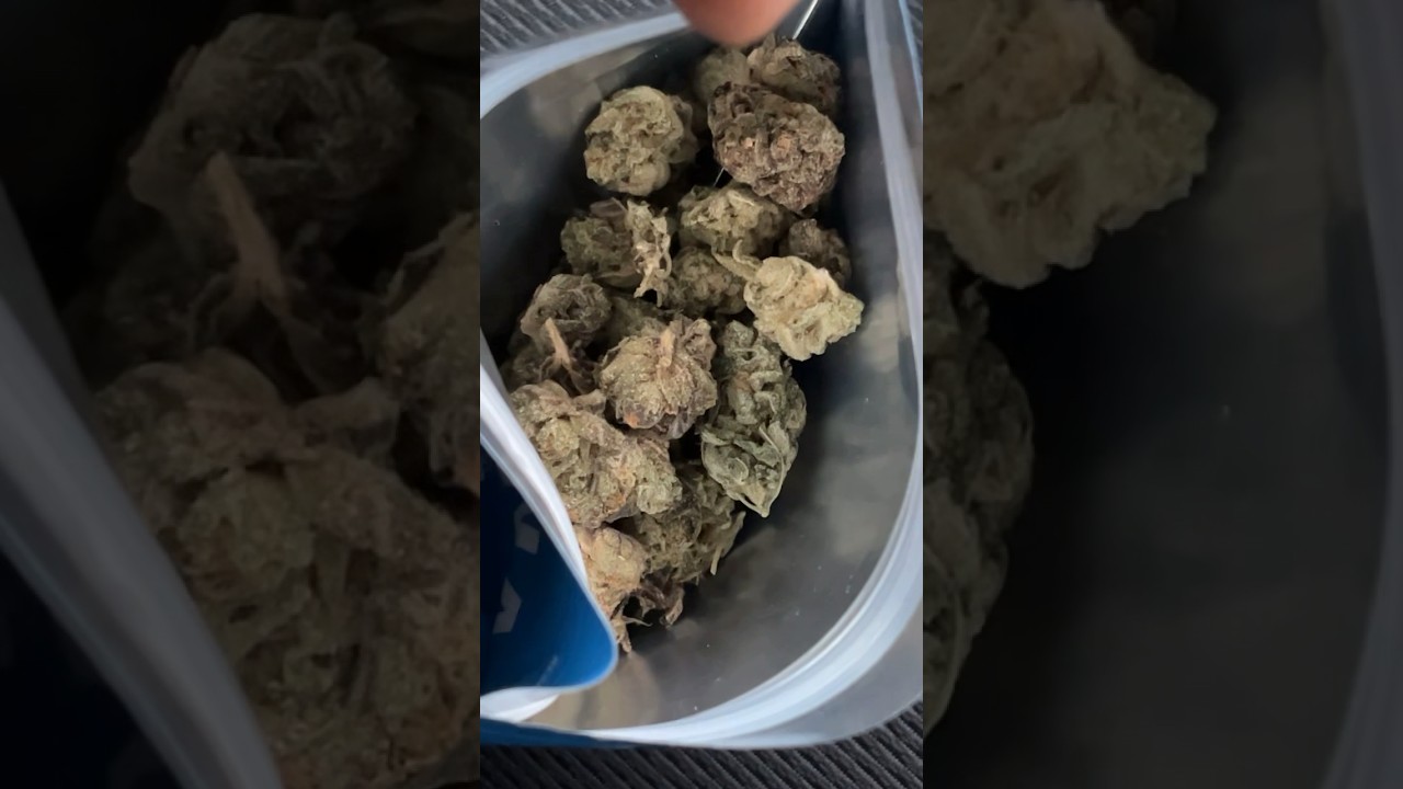 Missouri Pink Runtz Cookies Taste Test! #weedreviews