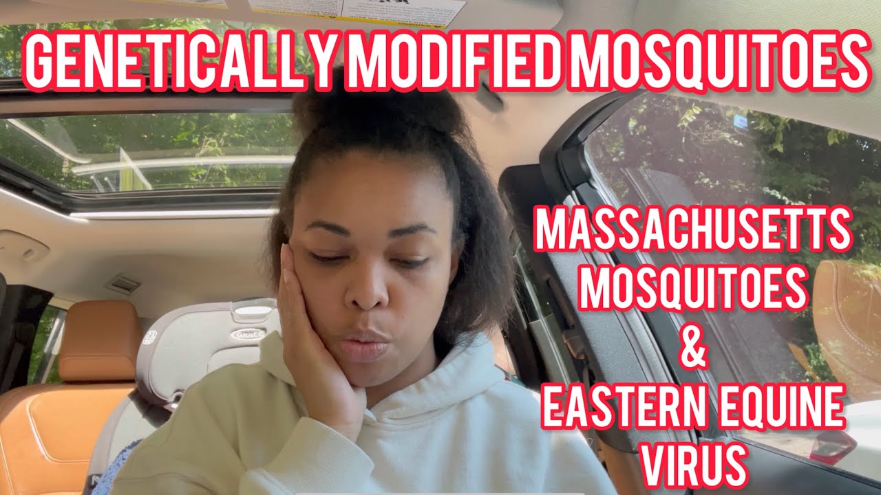 EASTERN EQUINE ENCEPHALITIS EEE VIRUS  genetically modified mosquitoes